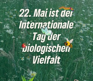 22. Mai – internationaler Tag der biologischen Vielfalt