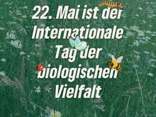 22. Mai – internationaler Tag der biologischen Vielfalt