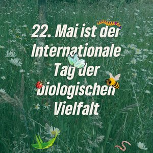 22. Mai – internationaler Tag der biologischen Vielfalt
