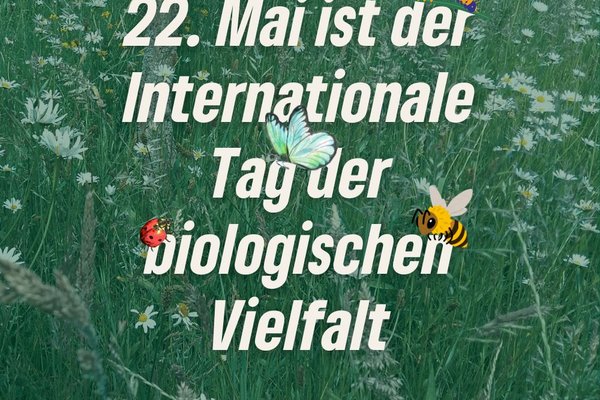 22. Mai – internationaler Tag der biologischen Vielfalt
