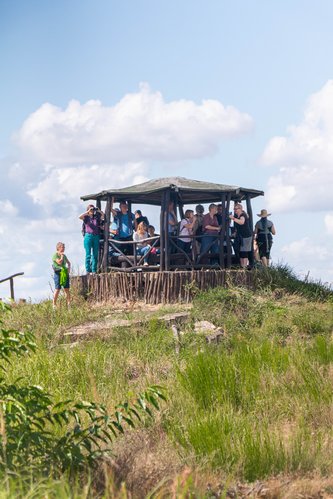 Führung in der Döberitzer Heide, September 2025, Foto: Grüne HVL