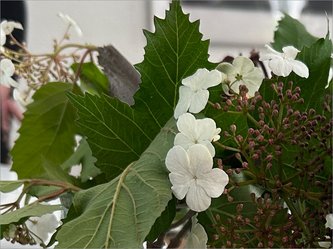 Impression, Klausurtagung, Foto: Grüne Havelland