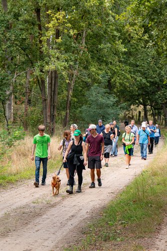 Führung in der Döberitzer Heide, September 2025, Foto: Grüne HVL