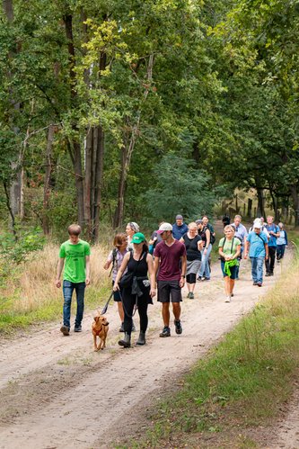 Führung in der Döberitzer Heide, September 2025, Foto: Grüne HVL