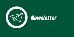 Newsletter abonnieren