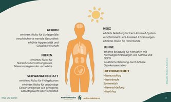 Auswirkung von großer Hitze auf den Körper, Quelle: Vortrag von Dr. med. Andrea Nakoinz