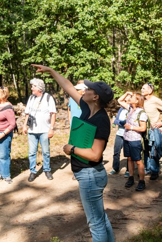 Führung in der Döberitzer Heide, Informationen unterwegs, September 2025, Foto: Grüne HVL