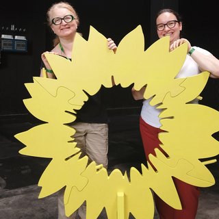 Grün wirkt, große Sonnenblume mit grünen Mitgliedern