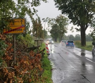 Der Radweg zwischen Dallgow und Falkensee kommt endlich, Foto: Grüne HVL