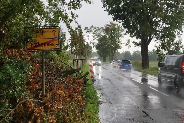 Der Radweg zwischen Dallgow und Falkensee kommt endlich, Foto: Grüne HVL