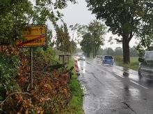 Der Radweg zwischen Dallgow und Falkensee kommt endlich, Foto: Grüne HVL