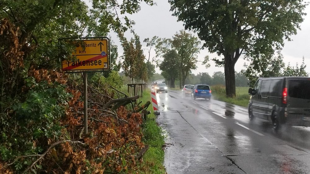 Der Radweg zwischen Dallgow und Falkensee kommt endlich, Foto: Grüne HVL