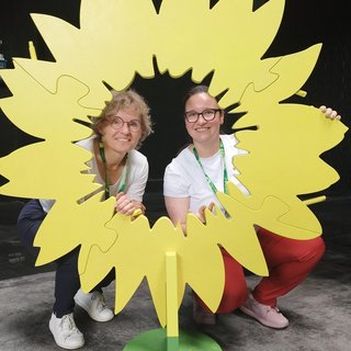 Grün wirkt, große Sonnenblume mit grünen Mitgliedern