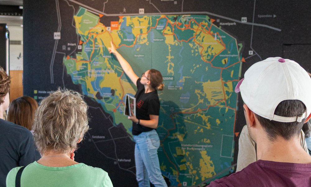 Führung in der Döberitzer Heide, September 2025, Foto: Grüne HVL