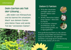 Postkarte, Flyer, Garten, Seite 1