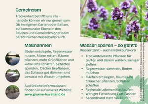 Postkarte, Flyer, Wasser, Seite 2